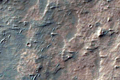 Terrain Sample