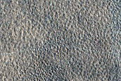 Arcadia Planitia Survey