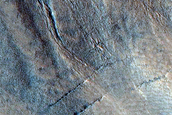 Possible Gully-Associated Light-Toned Materials near Acidalia Planitia