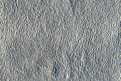 Unit Contact on Northern Plains