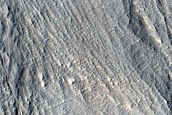 Gully Monitoring