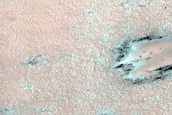 West Olympia Region Ice-Dune Interaction Survey