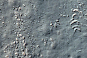 Concentric Crater Fill in Thaumasia Region