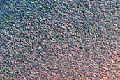 Polar Crater Floor Materials