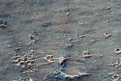 Possible Mafic Minerals on Sinus Sabaeus Crater Floor