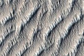 Terrain between Olympus Mons and Daedalia Planum