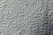 Candidate Recent Impact Site