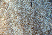 Protonilus Mensae Survey