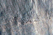 Gully Monitoring