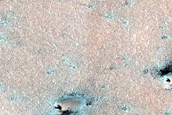 West Olympia Undae Dune Convoy Topography