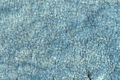 Utopia Planitia Scalloped Depressions