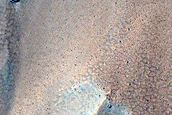 Gully Monitoring