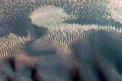 High-Latitude Gully Monitoring