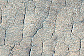 Erosion of Scalloped Terrain
