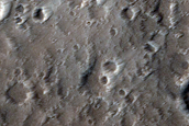 Dark Linear Features