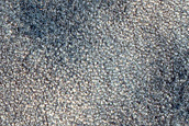 Terrain Sample