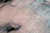 Survey of Dune-Ice Interactions near Olympia Undae