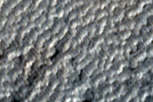 Monitoring New Impact Site