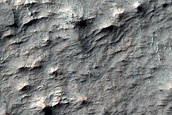 Large Phyllosilicate Deposit near Magelhaens Crater