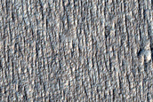 Terrain Sample