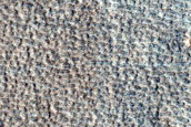 Acidalia Planitia