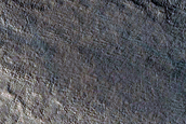 Gully Monitoring