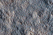 Utopia Planitia Survey