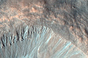 Gully Monitoring
