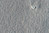 Arcadia Planitia Survey