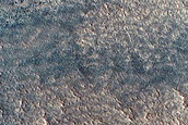Gully Monitoring