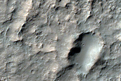 Light-Toned Sinuous Material