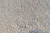 Terrain Sample