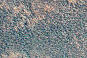 Terrain Sample