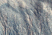Gully Monitoring