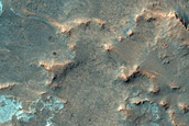 Phyllosilicate and Chloride-Rich Terrain in Terra Cimmeria