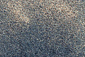 Terrain Sample