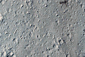 Monitoring New Impact Site