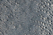Valley Network in Phlegra Montes
