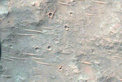 Terra Cimmeria Dune Monitoring 