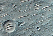 Poleward Gullies in 13-Kilometer Crater in Eridania Region