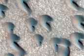 Northern Terrain Sample