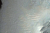 Western Half of Well-Preserved 10-Kilometer Crater