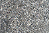 Arcadia Planitia Survey