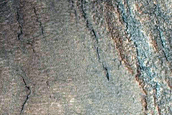 Gully Monitoring