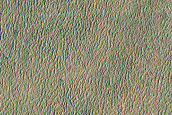 Candidate Recent Impact Site