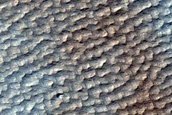 Dusty Terraced Impact Crater