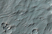 Pitted Material in 23-Kilometer Diameter Crater in Terra Cimmeria