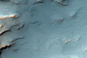 Channels in Deltoton Sinus Region
