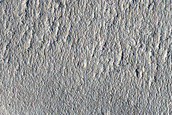 Northern Plains Sample Terrain
