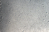 Two Long Runout Landslides with Flow Features